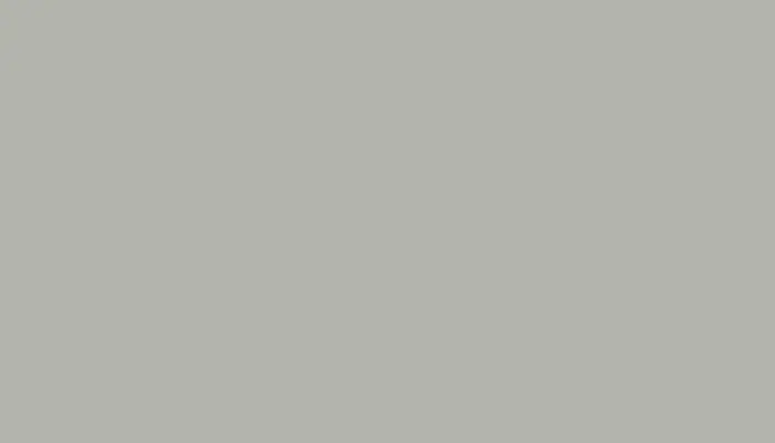 Краска для сколов во флаконе с кисточкой CITROEN, цвет GWZ - BLANC/GRIS CLAIR