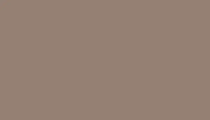 Краска для сколов во флаконе с кисточкой VOLKSWAGEN, цвет LL1D - AMAG-BEIGE