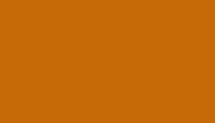 Аэрозольная краска MITSUBISHI, цвет 24 - BRIGHT ORANGE LKW