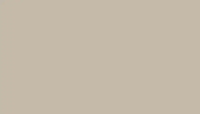 Аэрозольная краска VOLKSWAGEN, цвет LL1L - MANILA BEIGE