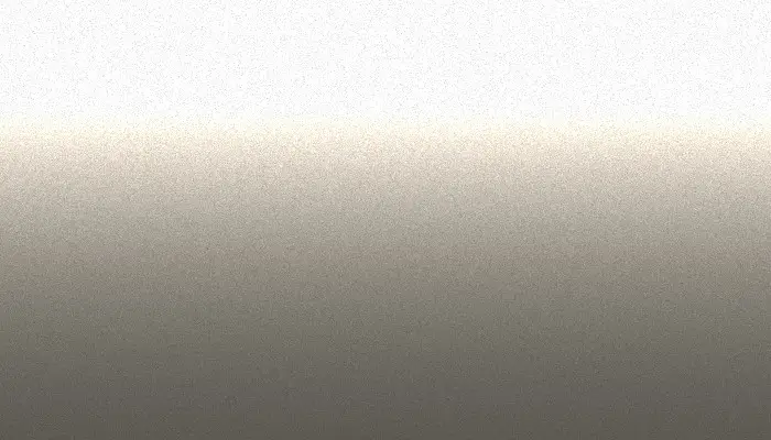 Краска для сколов во флаконе с кисточкой NISSAN, цвет 1N0 - 2-х цветное покрытие