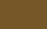 Краска для сколов во флаконе с кисточкой TOYOTA, цвет 412 - BROWN
