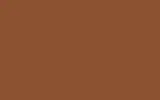 Краска для сколов во флаконе с кисточкой VOLKSWAGEN, цвет LH8B - ASSUAN BROWN
