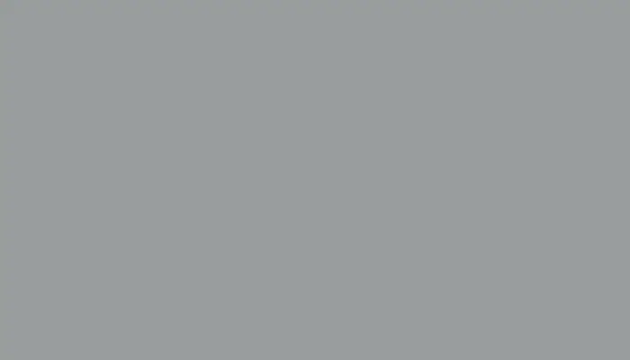 Краска для сколов во флаконе с кисточкой CITROEN, цвет AC107 - GRIS TEMPS PERDU/GRIS TIEMPO