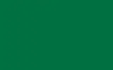 Краска для сколов во флаконе с кисточкой FORD, цвет 885 - MODENA GREEN