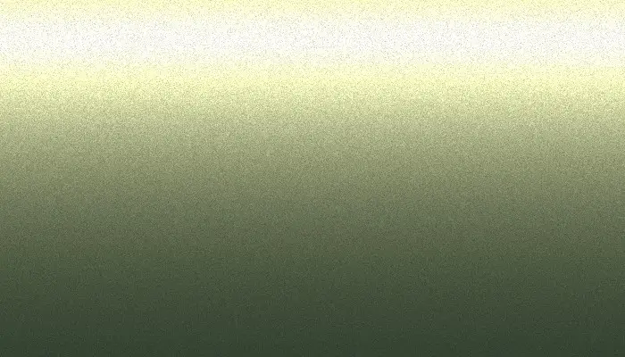Краска для сколов во флаконе с кисточкой VOLKSWAGEN, цвет LV6X - DARK SPICE GREEN