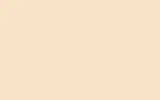 Аэрозольная краска MERCEDES TRUCKS, цвет 1282 - BELA BEIGE