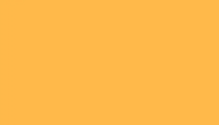 Аэрозольная краска VOLKSWAGEN, цвет LW2B - ORANGE ARTE