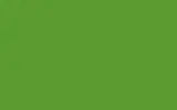 Краска для сколов во флаконе с кисточкой VOLVO TRUCKS, цвет S98641 - YELLOW GREEN *