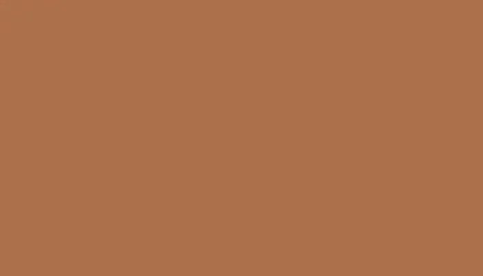Аэрозольная краска NISSAN, цвет 921 - LIGHT BROWN/MESA TAN