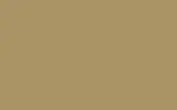 Краска для сколов во флаконе с кисточкой VOLVO TRUCKS, цвет S98628 - OLIVE YELLOW RAL1020-GL