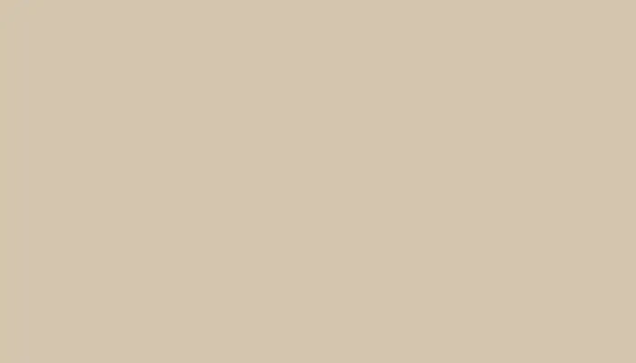 Автомобильная краска MITSUBISHI, цвет S24 - CINNAMON BEIGE