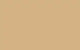 Краска для сколов во флаконе с кисточкой MERCEDES TRUCKS, цвет 1640 - BEIGE