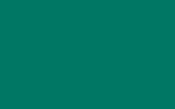 Аэрозольная краска MERCEDES TRUCKS, цвет 6907 - TOLL GREEN