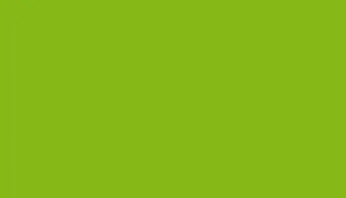 Краска для сколов во флаконе с кисточкой CITROEN, цвет EQW - VERT POSTE ESPAGNOLE/VERDE TELEF.