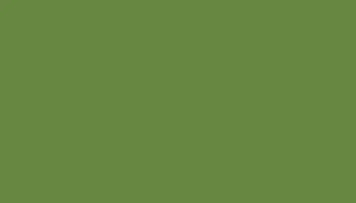 Автомобильная краска MAZDA, цвет FN - PRAIRIE GREEN