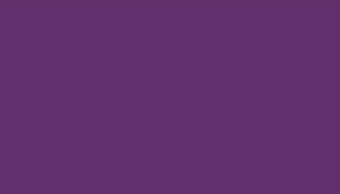 Маркер с краской NISSAN, цвет 07C - MORADO RETEVISION
