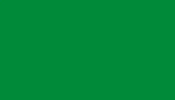 Ремкомплект для ремонта глубоких сколов и царапин FORD, цвет X0473G - GREEN