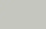 Аэрозольная краска RENAULT TRUCKS, цвет 12630 - GRIS