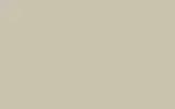 Краска для сколов во флаконе с кисточкой VOLVO TRUCKS, цвет S98919 - WHITE BEIGE DAF ALBINO 420