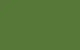 Краска для сколов во флаконе с кисточкой VOLVO TRUCKS, цвет S98746 - GREEN