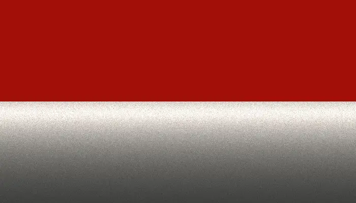 Краска для сколов во флаконе с кисточкой NISSAN, цвет 13A - 2-х цветное покрытие