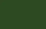Аэрозольная краска VOLVO, цвет 156/156-6 - SIGNAL GREEN