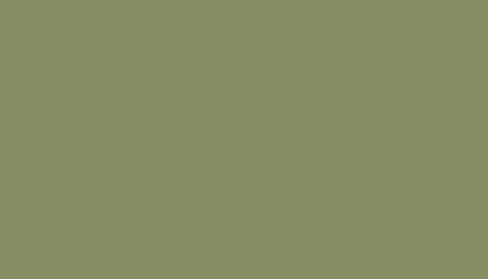 Аэрозольная краска VOLKSWAGEN, цвет LD6G - CEDAR GREEN