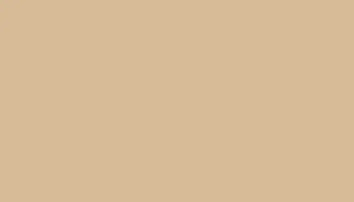 Аэрозольная краска NISSAN, цвет 928 - AMILAC/CAMEO BEIGE