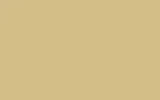 Краска для сколов во флаконе с кисточкой MERCEDES TRUCKS, цвет 1669 - GRUENBEIGE