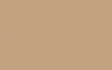 Аэрозольная краска PEUGEOT, цвет EDY - BEIGE IMPALA