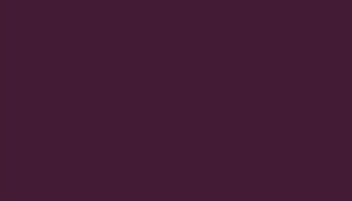 Аэрозольная краска VOLKSWAGEN, цвет R407 - PURPURVIOLETT RAL4007-GL
