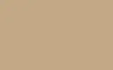Аэрозольная краска FIAT, цвет 48 - BEIGE