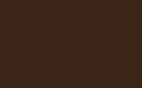 Краска для сколов во флаконе с кисточкой VOLVO TRUCKS, цвет S98537 - NUT BROWN BS 413
