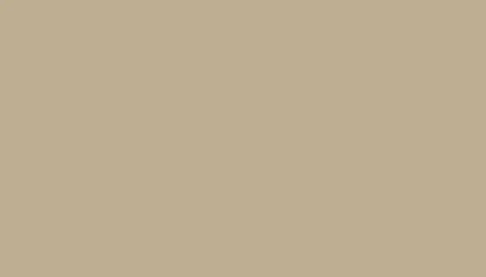 Аэрозольная краска VOLKSWAGEN, цвет LB1N - REED BEIGE