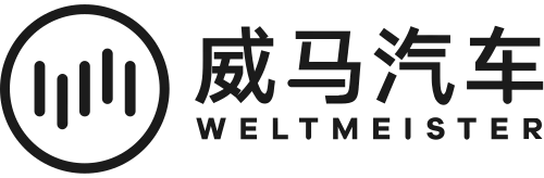 Флакон с кисточкой WM