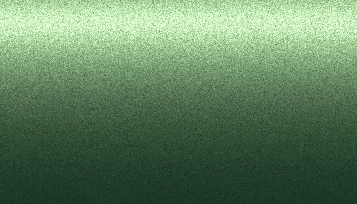 Ремкомплект для ремонта глубоких сколов и царапин FORD, цвет WG - SHERWOOD GREEN