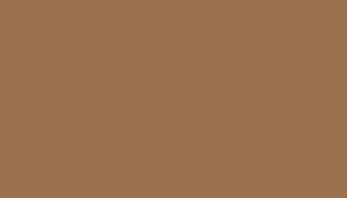 Аэрозольная краска VOLKSWAGEN, цвет L6C6 - SANDBEIGE 03