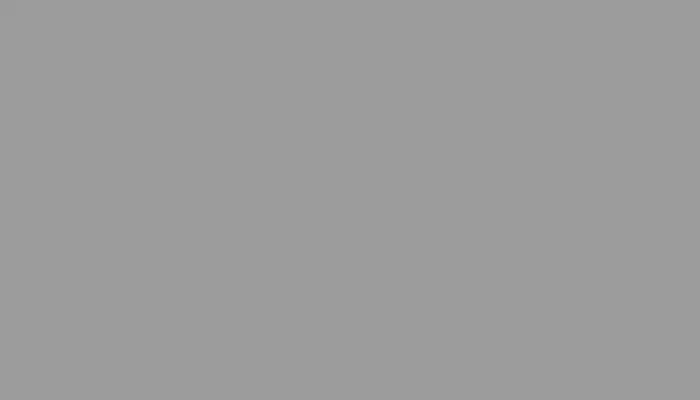 Аэрозольная краска VOLKSWAGEN, цвет R704 - SIGNALGRAU RAL7004-GL