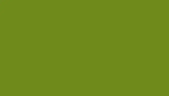 Автомобильная краска MAZDA, цвет FP - MUSCAT GREEN