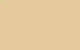 Краска для сколов во флаконе с кисточкой CITROEN, цвет ECE - BEIGE (AMBULANCE ALLEMAGNE) RAL1014