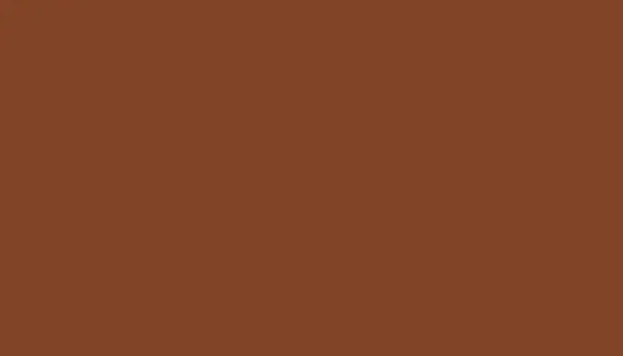 Краска для сколов во флаконе с кисточкой VOLKSWAGEN, цвет L453 - FERRITE BROWN
