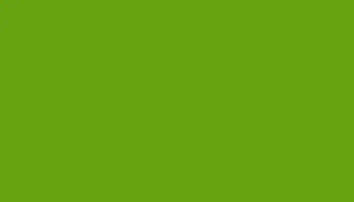 Краска для сколов во флаконе с кисточкой CITROEN, цвет AC529 - VERT PALMERAIE/VERDE PALMERAL