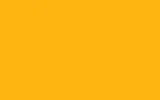 Краска для сколов во флаконе с кисточкой FORD, цвет BZ - CHROME YELLOW