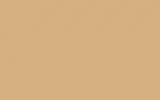 Аэрозольная краска RENAULT TRUCKS, цвет 1150 - BEIGE MACK