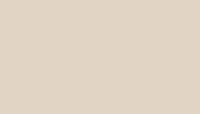 Краска для сколов во флаконе с кисточкой KIA, цвет LE - LIGHT BEIGE (ASIA COMBI)