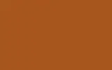 Краска для сколов во флаконе с кисточкой VOLVO TRUCKS, цвет S98539 - ORANGE BROWN RAL8023