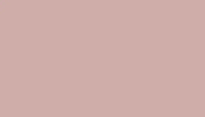 Ремкомплект для ремонта глубоких сколов и царапин FORD, цвет S - DUSK ROSE