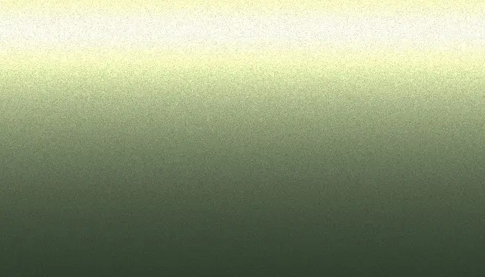 Краска для сколов во флаконе с кисточкой VOLKSWAGEN, цвет LH6Y LOWER PART - HELL SPICE