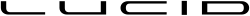 Флакон с кисточкой LUCID